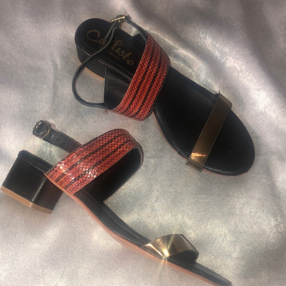Callisto Shoes